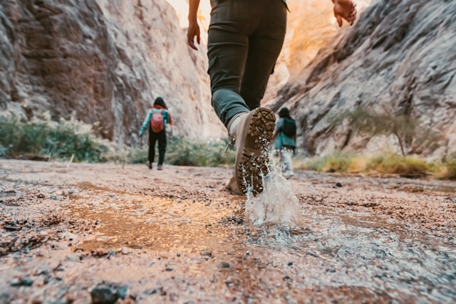 Veins Hiking